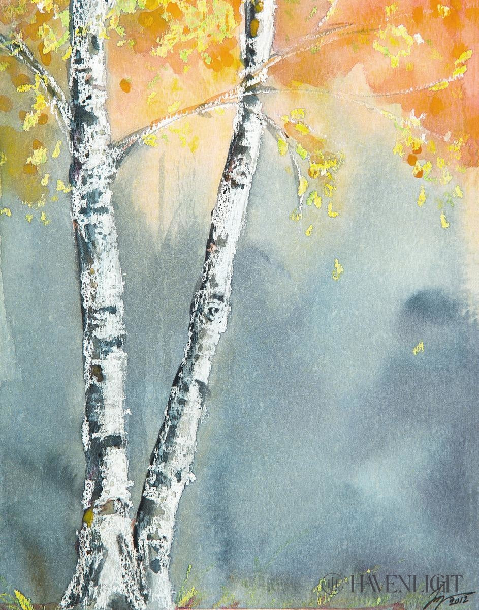 Aspen Fog Open Edition Print / 14 X 11 Only Art