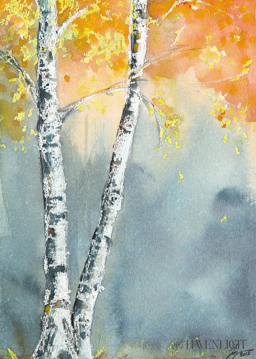 Aspen Fog Open Edition Print / 7 X 5 Only Art