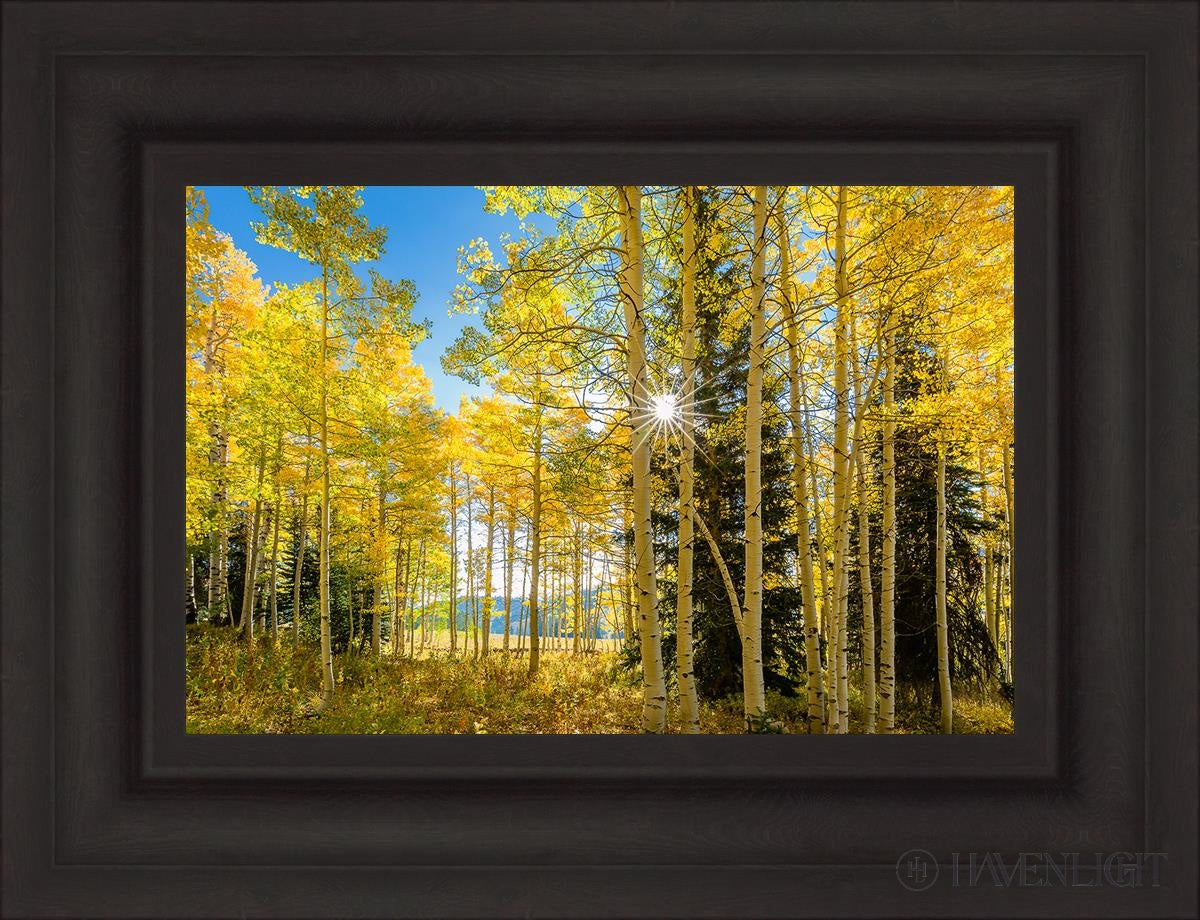 Autumn In The Rocky Mountains Wasatch National Forest Utah Open Edition Canvas / 18 X 12 Brown 25