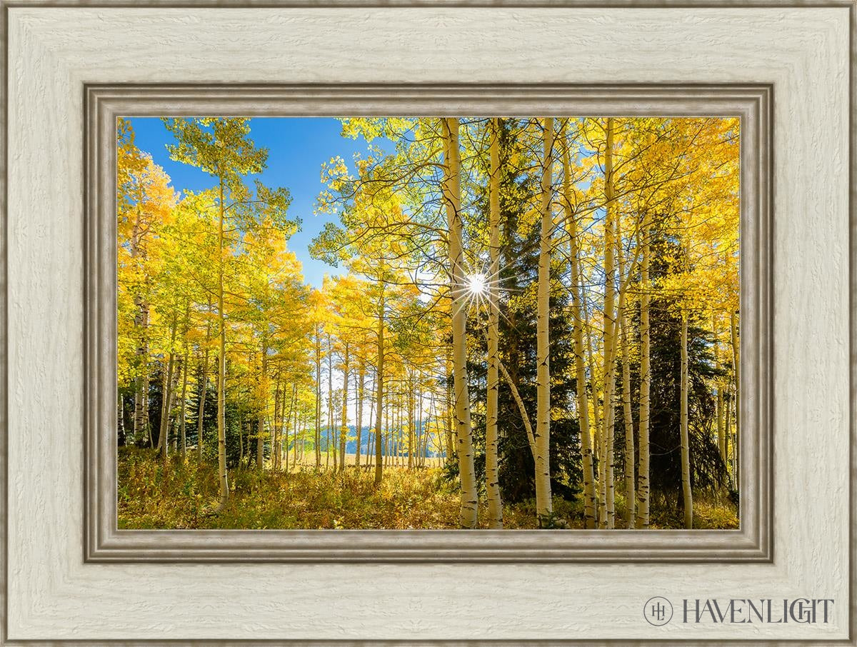 Autumn In The Rocky Mountains Wasatch National Forest Utah Open Edition Canvas / 18 X 12 Ivory 24