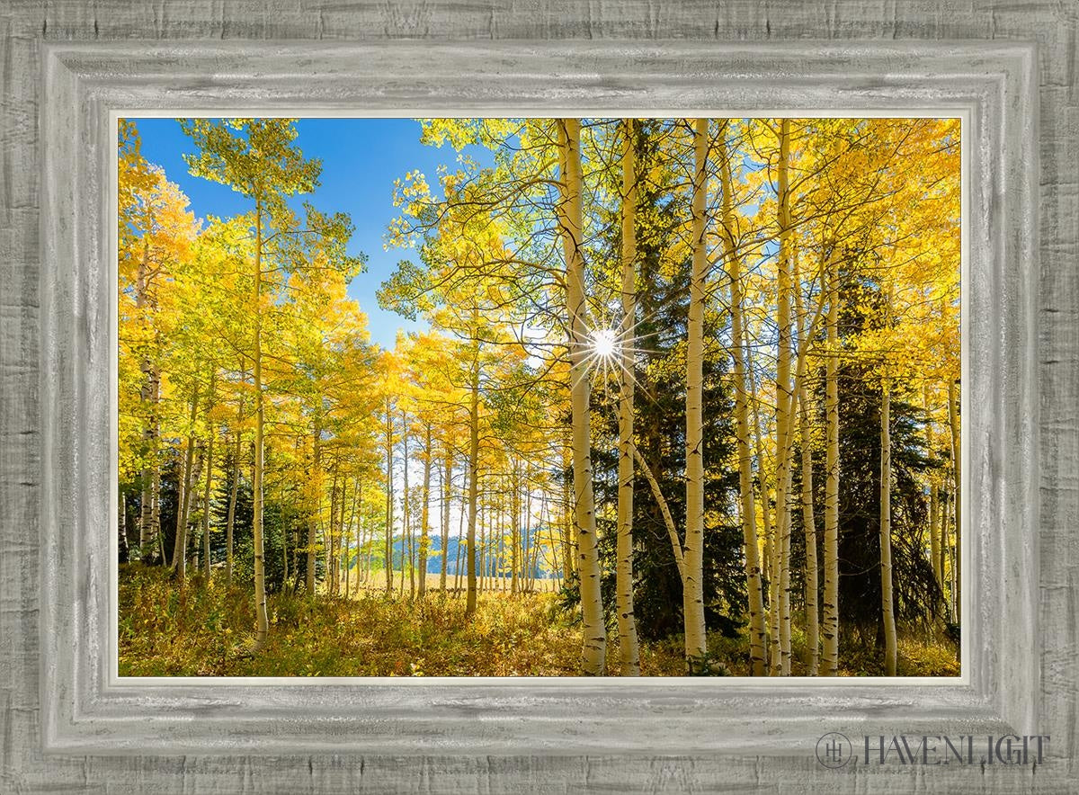 Autumn In The Rocky Mountains Wasatch National Forest Utah Open Edition Canvas / 18 X 12 Silver 22