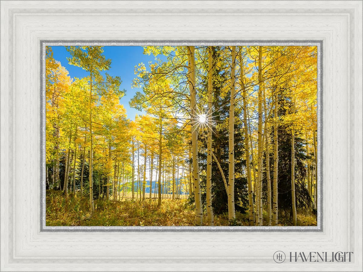 Autumn In The Rocky Mountains Wasatch National Forest Utah Open Edition Canvas / 18 X 12 White 23