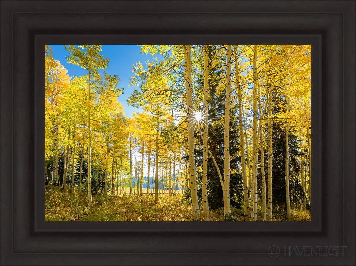 Autumn In The Rocky Mountains Wasatch National Forest Utah Open Edition Canvas / 24 X 16 Brown 31
