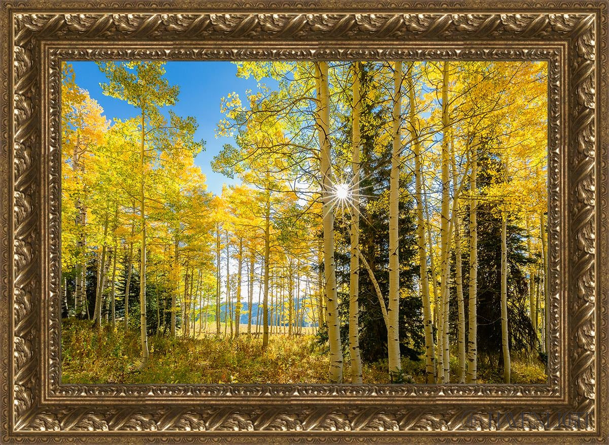 Autumn In The Rocky Mountains Wasatch National Forest Utah Open Edition Canvas / 24 X 16 Gold 29 3/4