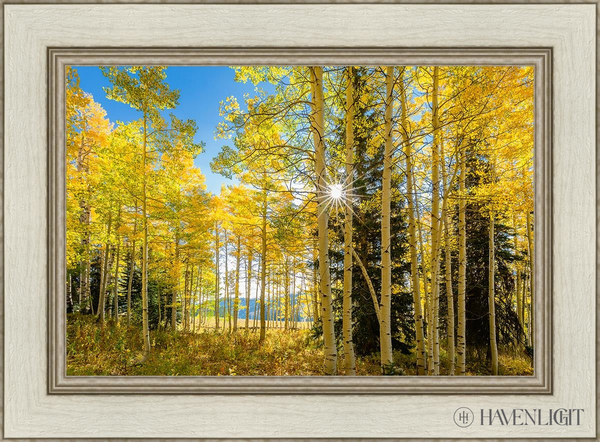 Autumn In The Rocky Mountains Wasatch National Forest Utah Open Edition Canvas / 24 X 16 Ivory 30