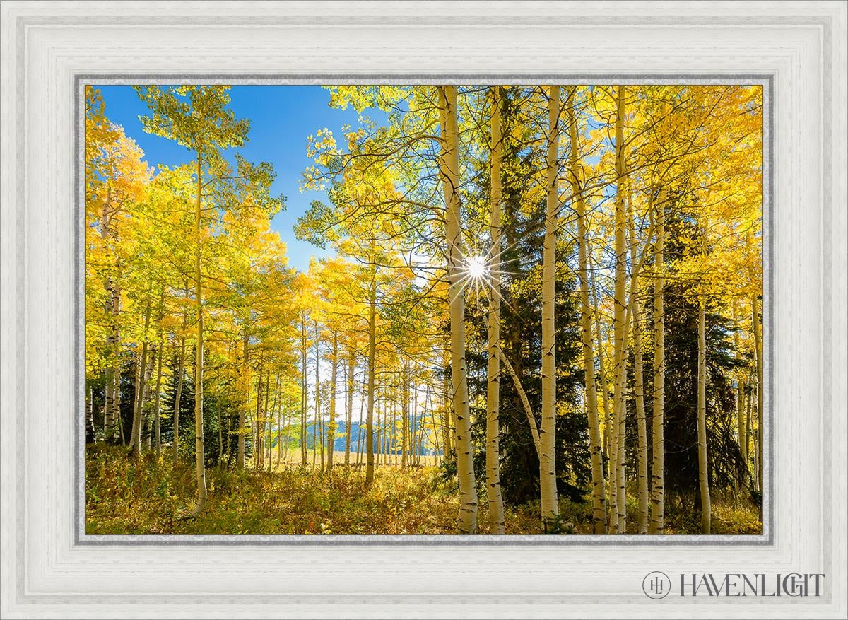 Autumn In The Rocky Mountains Wasatch National Forest Utah Open Edition Canvas / 24 X 16 White 29