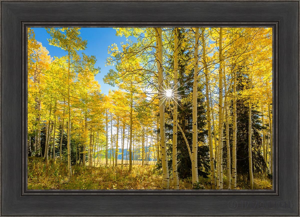 Autumn In The Rocky Mountains Wasatch National Forest Utah Open Edition Canvas / 30 X 20 Black 36