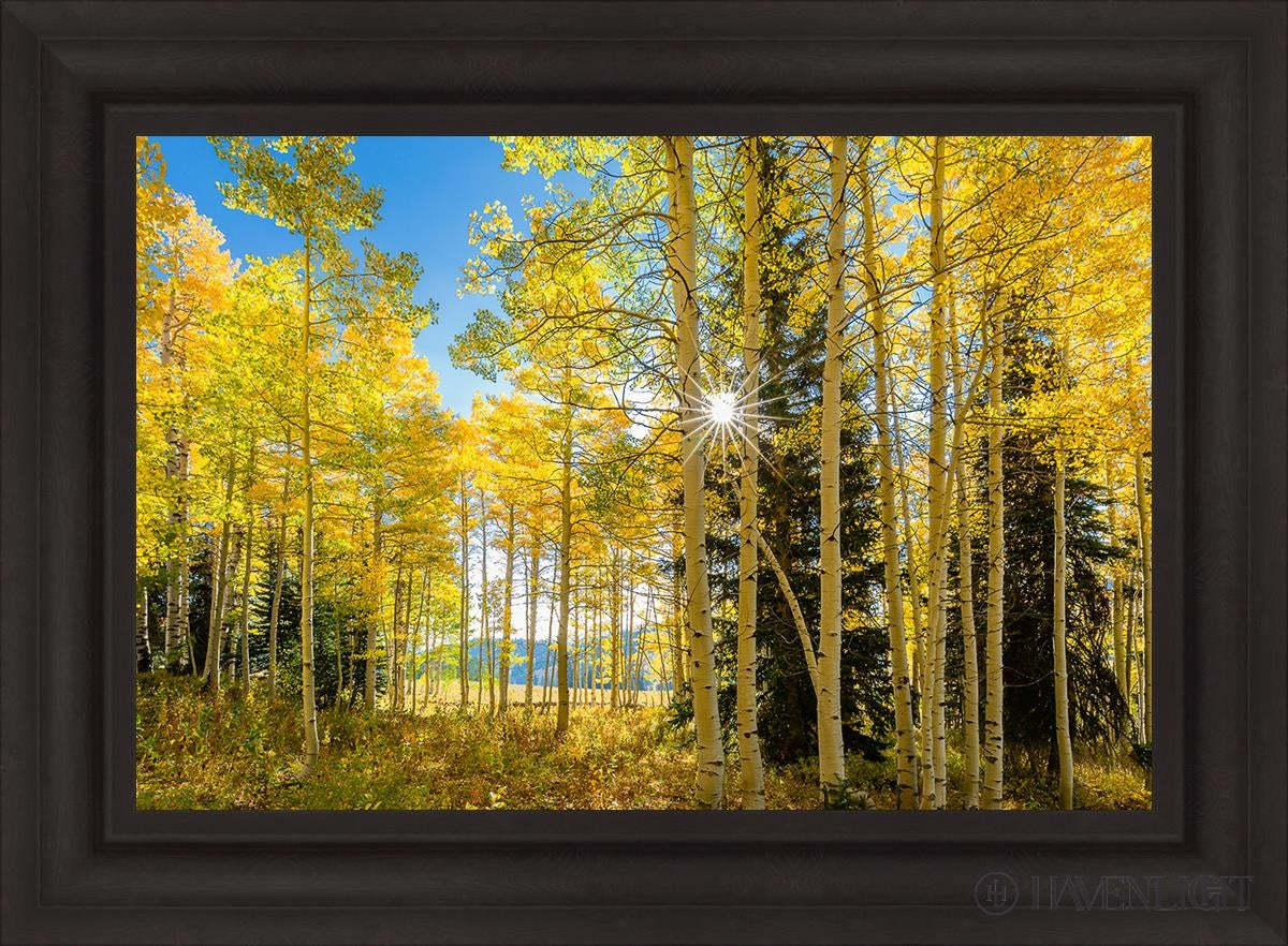 Autumn In The Rocky Mountains Wasatch National Forest Utah Open Edition Canvas / 30 X 20 Brown 37