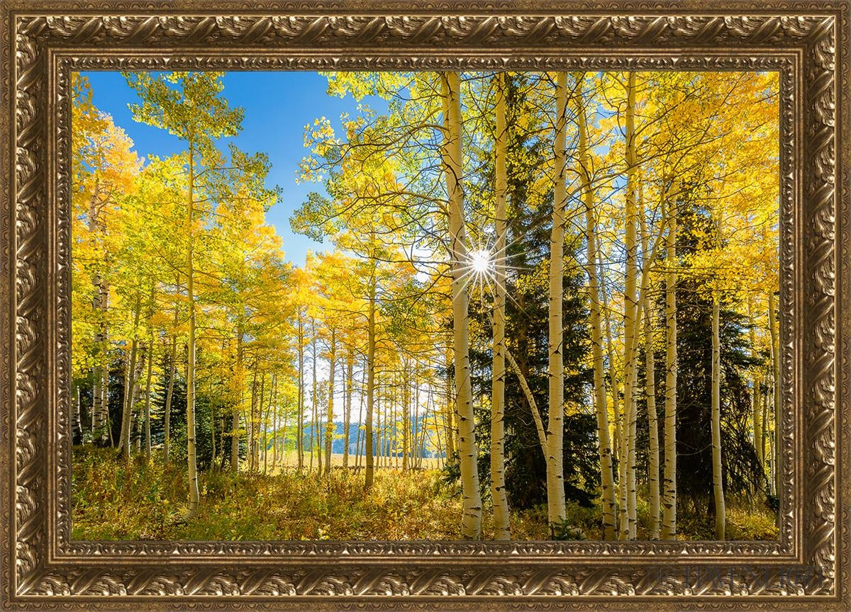 Autumn In The Rocky Mountains Wasatch National Forest Utah Open Edition Canvas / 30 X 20 Gold 35 3/4