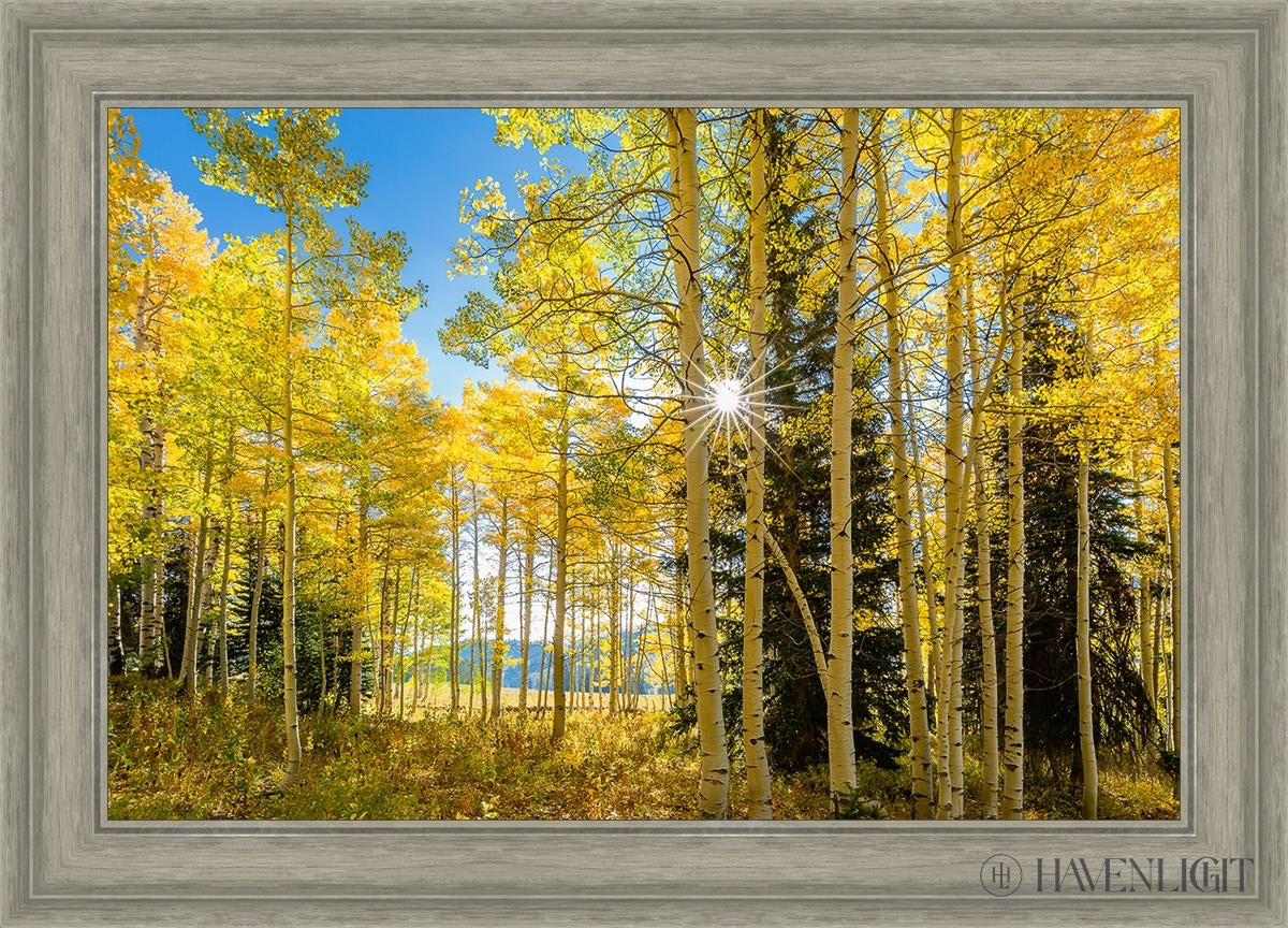 Autumn In The Rocky Mountains Wasatch National Forest Utah Open Edition Canvas / 30 X 20 Gray 35 3/4