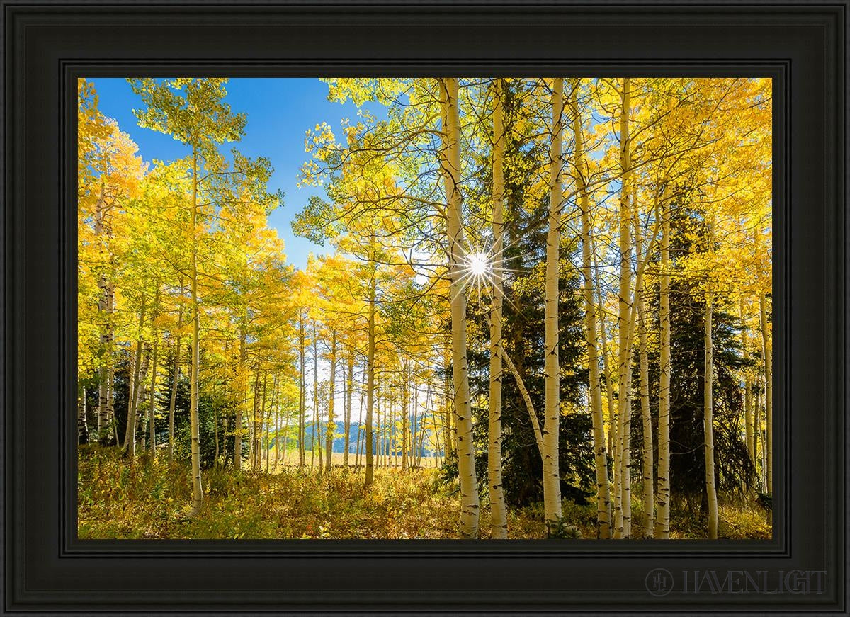 Autumn In The Rocky Mountains Wasatch National Forest Utah Open Edition Canvas / 36 X 24 Black 43