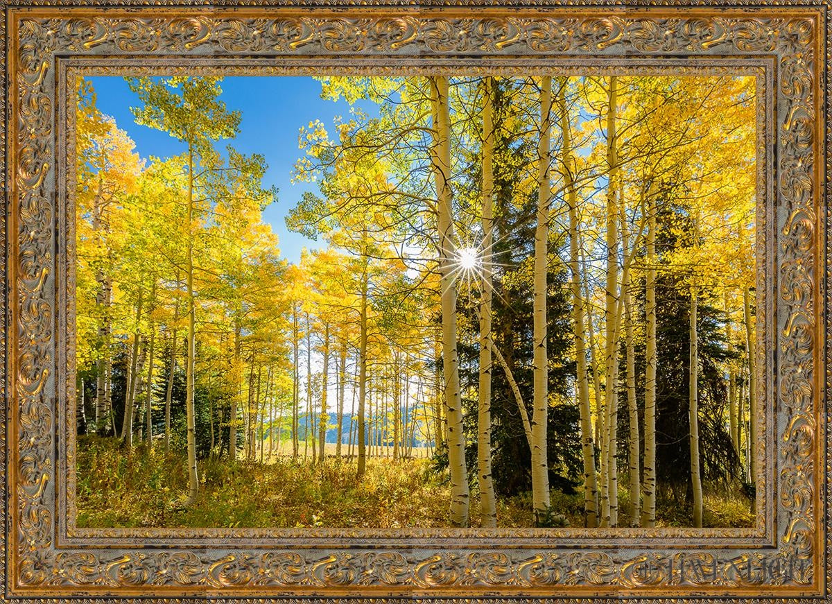 Autumn In The Rocky Mountains Wasatch National Forest Utah Open Edition Canvas / 36 X 24 Gold 43 3/4