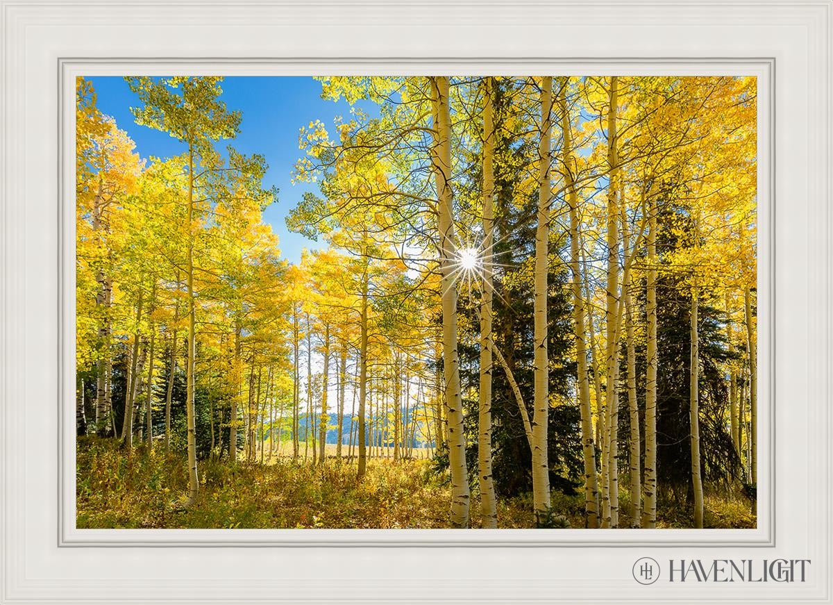 Autumn In The Rocky Mountains Wasatch National Forest Utah Open Edition Canvas / 36 X 24 White 43