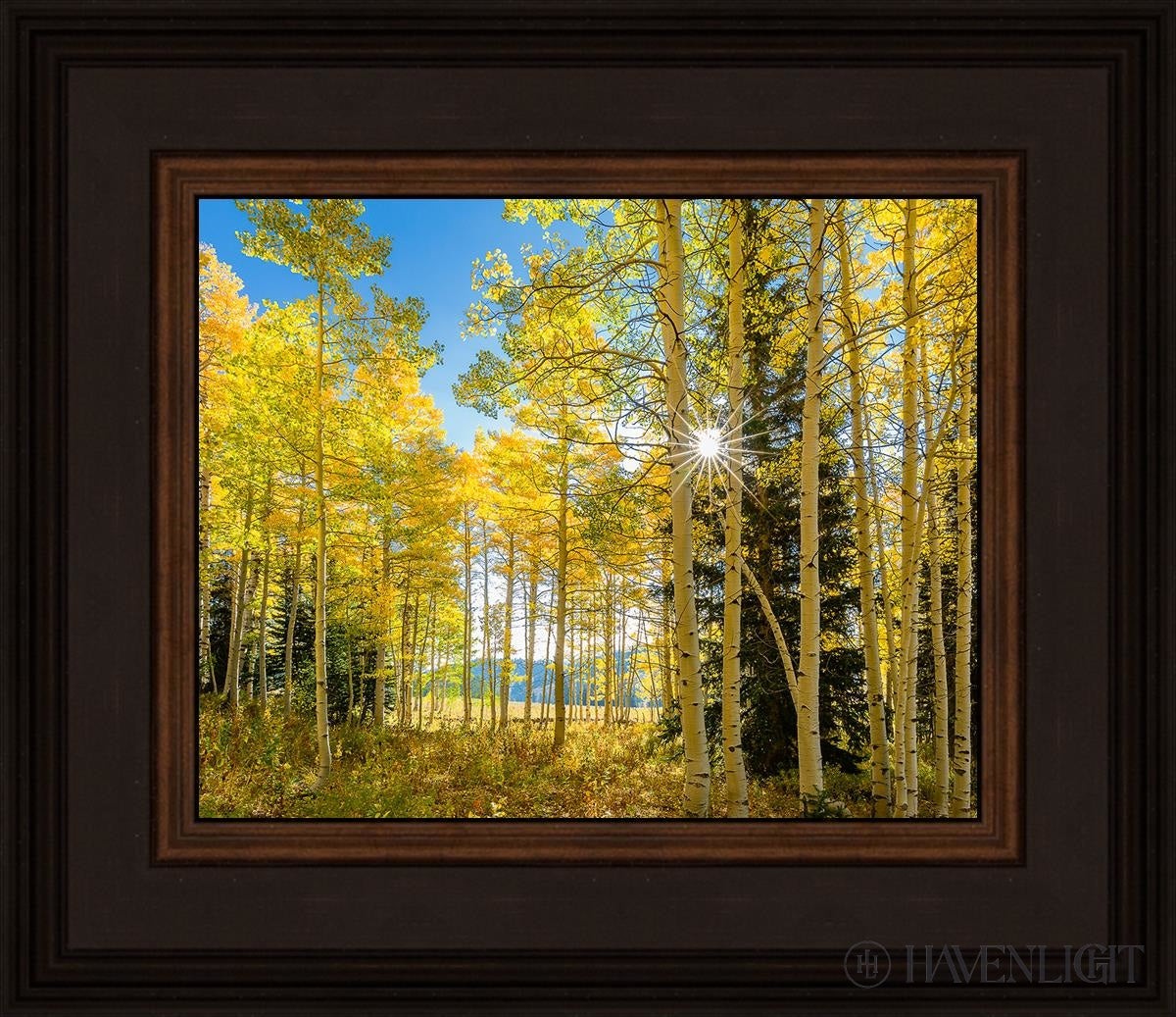 Autumn In The Rocky Mountains Wasatch National Forest Utah Open Edition Print / 10 X 8 Brown 14 3/4