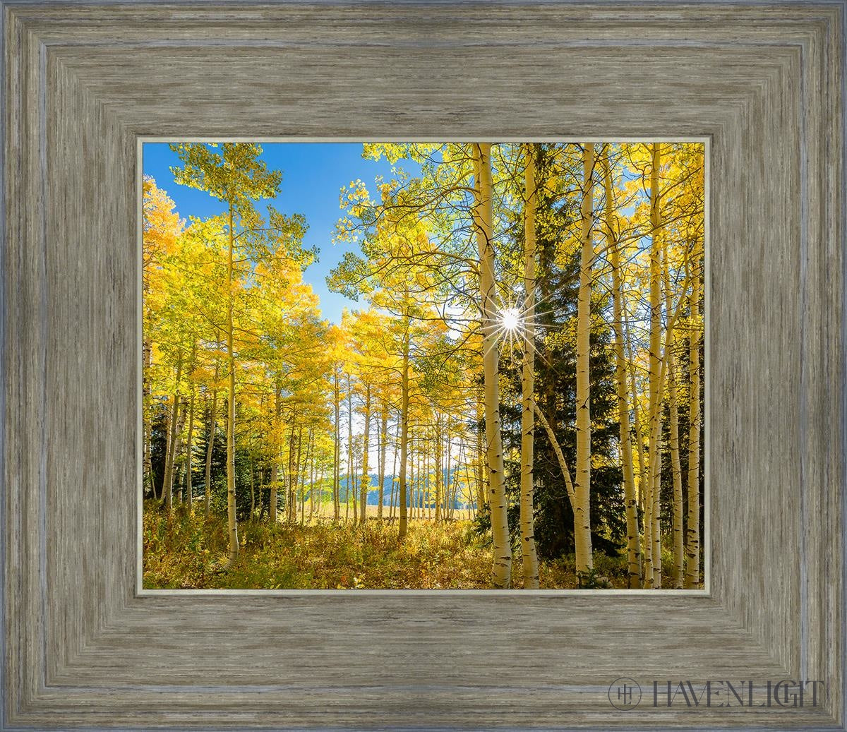 Autumn In The Rocky Mountains Wasatch National Forest Utah Open Edition Print / 10 X 8 Gray 14 3/4