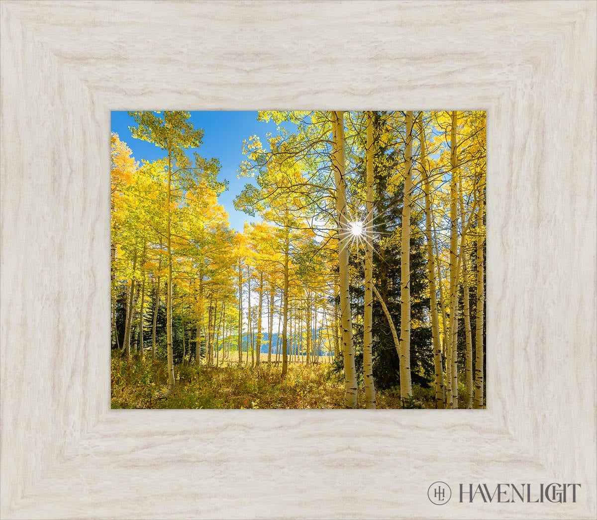 Autumn In The Rocky Mountains Wasatch National Forest Utah Open Edition Print / 10 X 8 Ivory 15 1/2