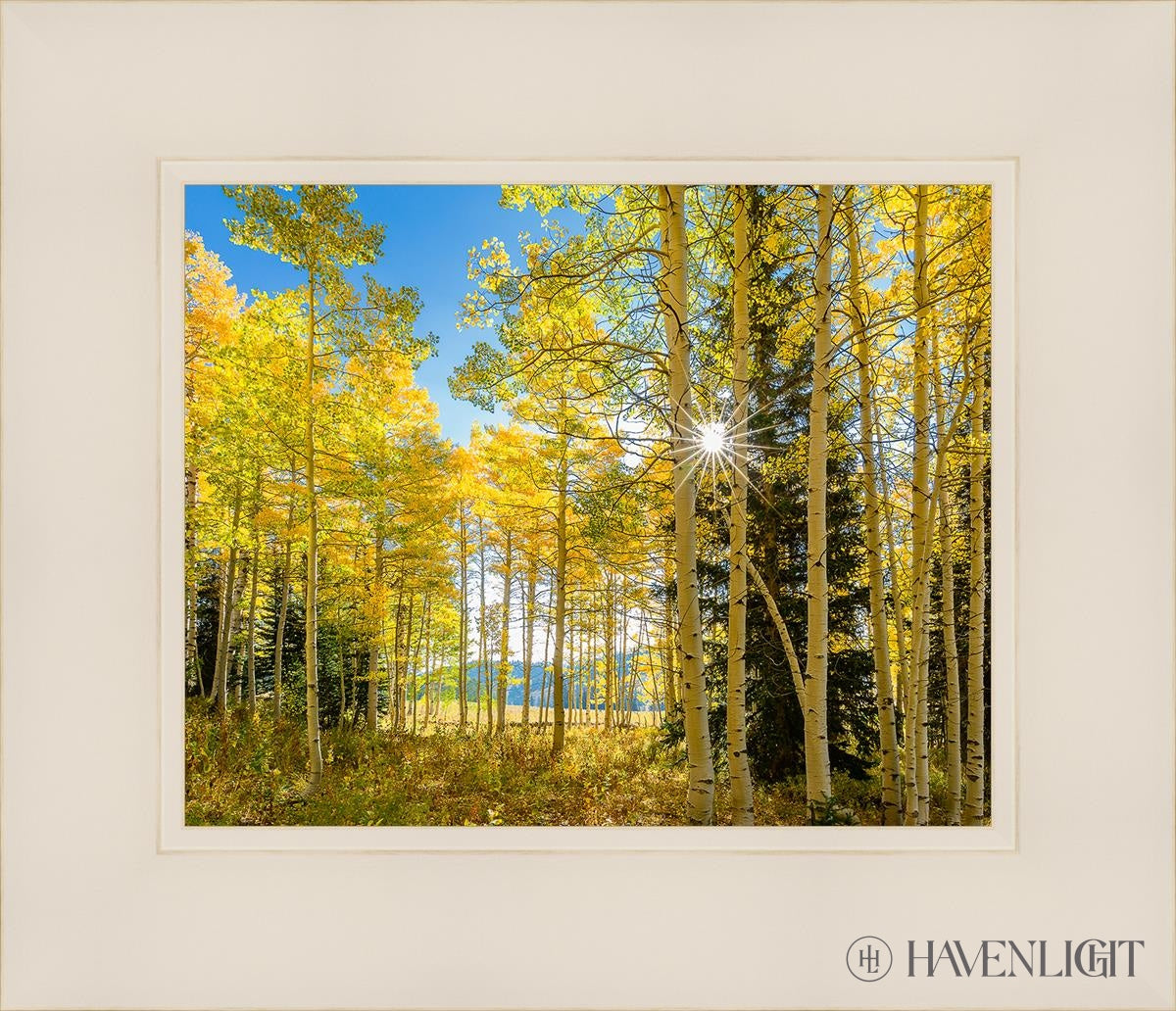 Autumn In The Rocky Mountains Wasatch National Forest Utah Open Edition Print / 10 X 8 White 14 1/4