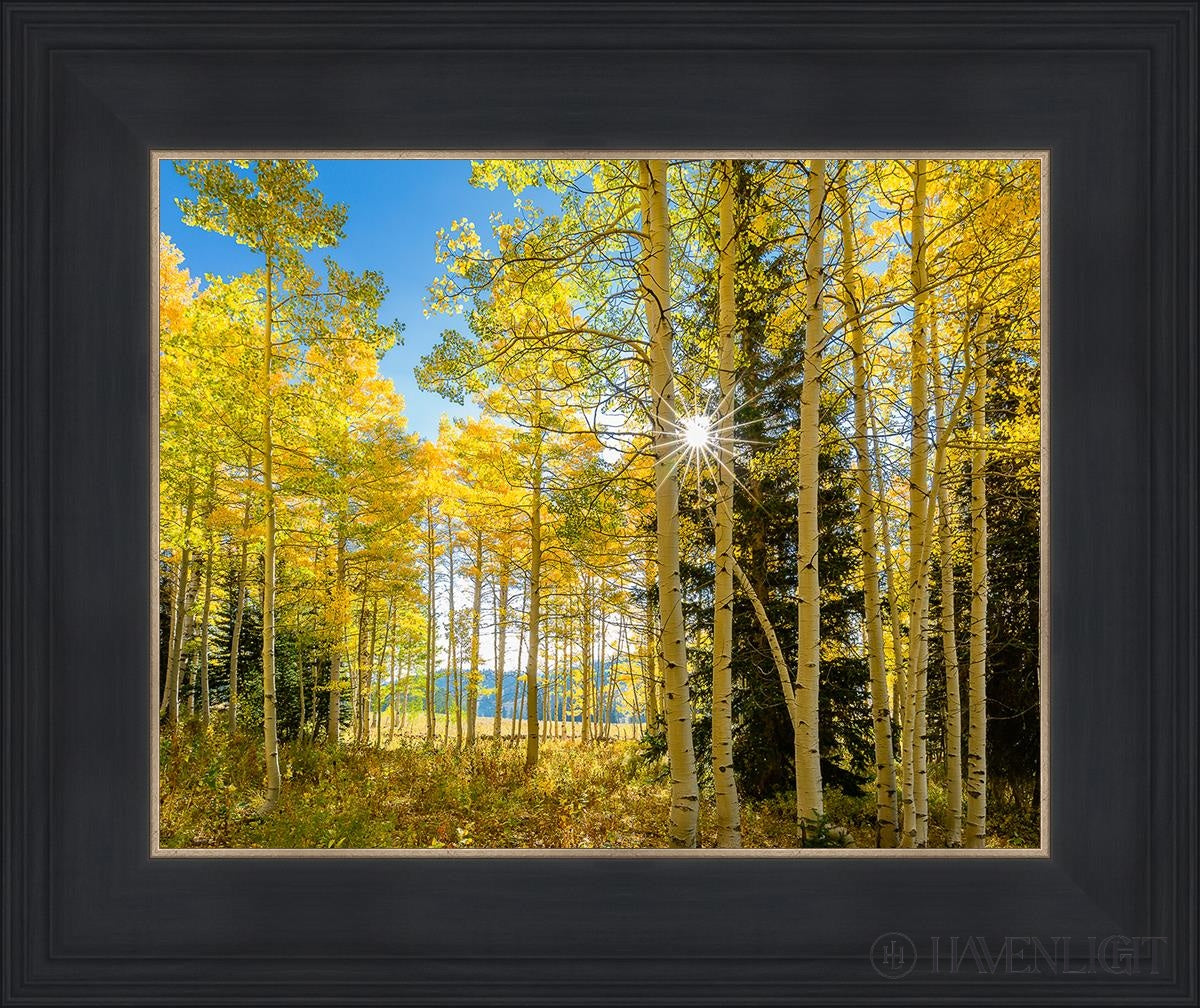Autumn In The Rocky Mountains Wasatch National Forest Utah Open Edition Print / 14 X 11 Black 18 3/4