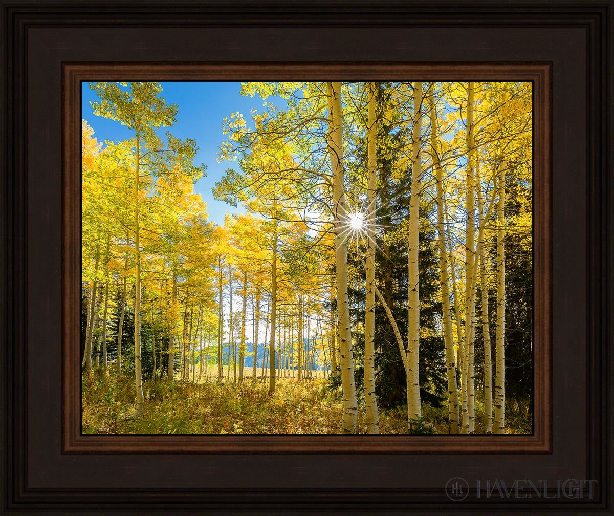 Autumn In The Rocky Mountains Wasatch National Forest Utah Open Edition Print / 14 X 11 Brown 18 3/4
