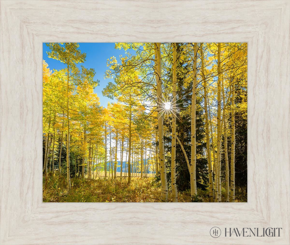 Autumn In The Rocky Mountains Wasatch National Forest Utah Open Edition Print / 14 X 11 Ivory 19 1/2