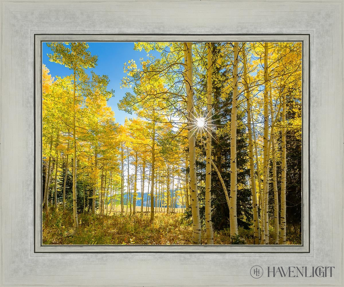 Autumn In The Rocky Mountains Wasatch National Forest Utah Open Edition Print / 14 X 11 Silver 18