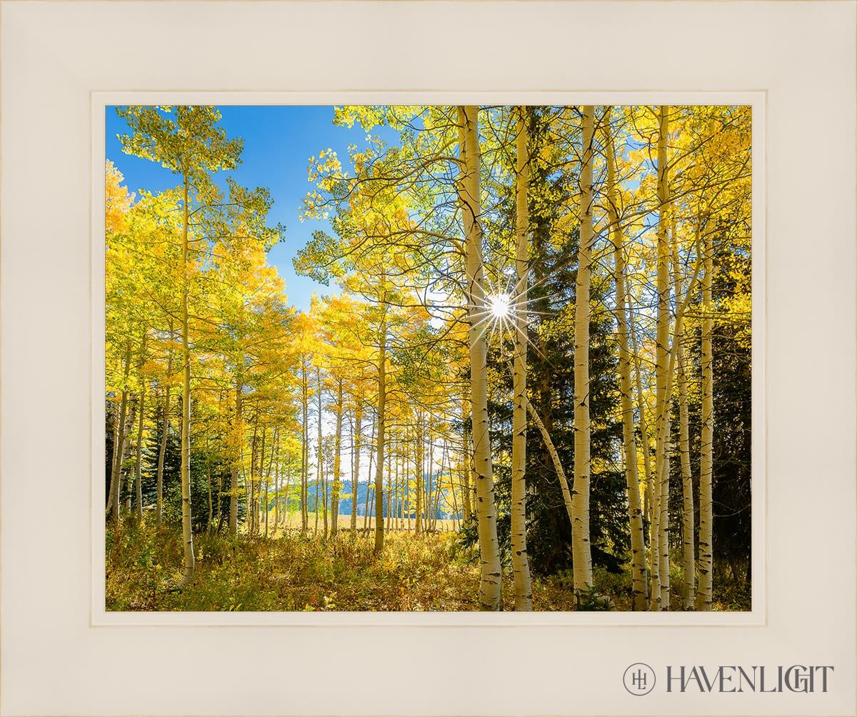 Autumn In The Rocky Mountains Wasatch National Forest Utah Open Edition Print / 14 X 11 White 18 1/4