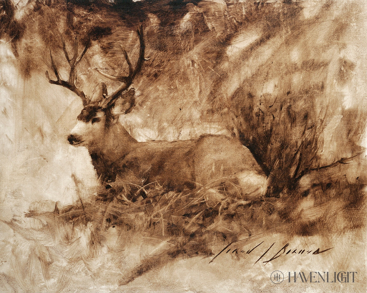 Bedded Buck Open Edition Print / 10 X 8 Only Art