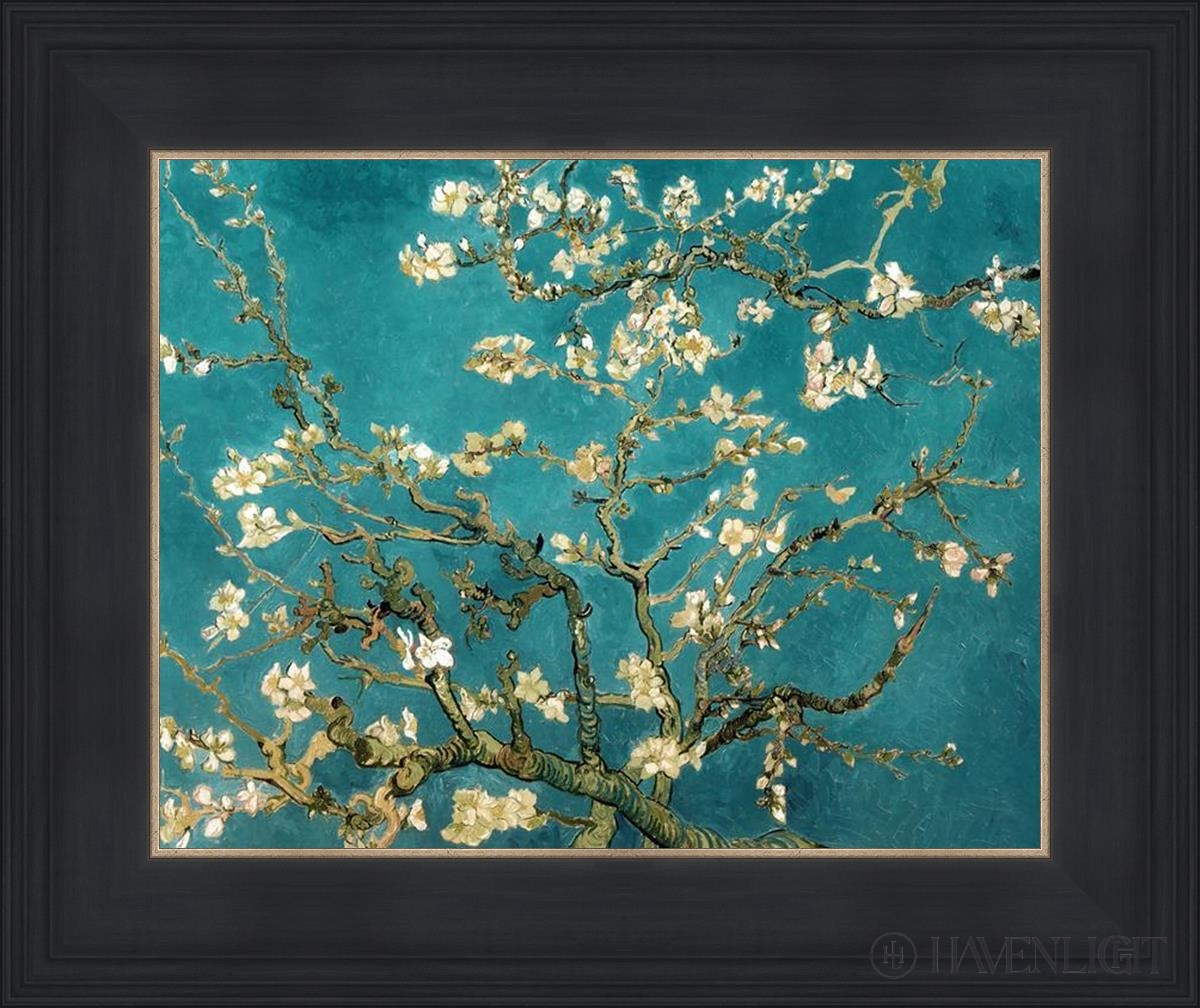 Blossoming Almond Open Edition Print / 14 X 11 Black 18 3/4 15 Art