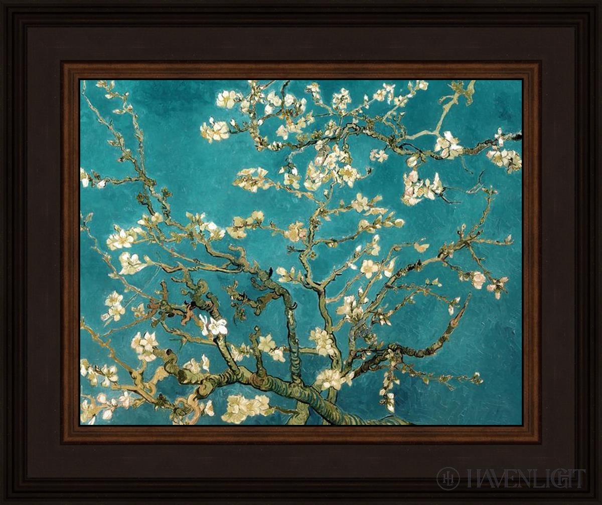 Blossoming Almond Open Edition Print / 14 X 11 Brown 18 3/4 15 Art