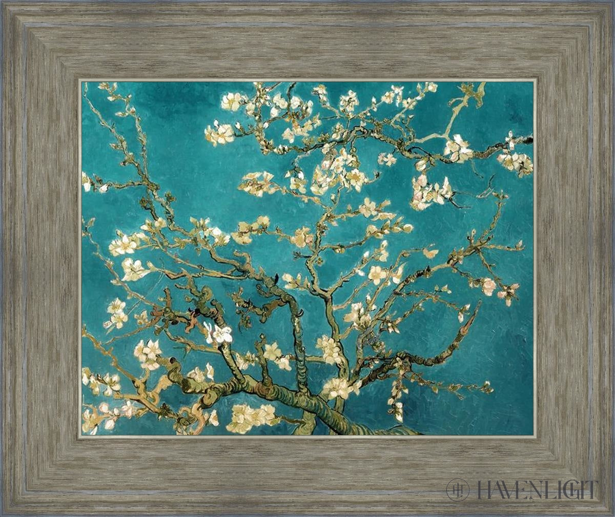 Blossoming Almond Open Edition Print / 14 X 11 Gray 18 3/4 15 Art