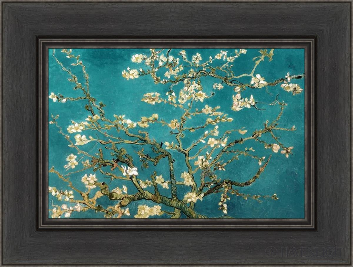 Blossoming Almond Open Edition Print / 18 X 12 Black 24 1/2 Art