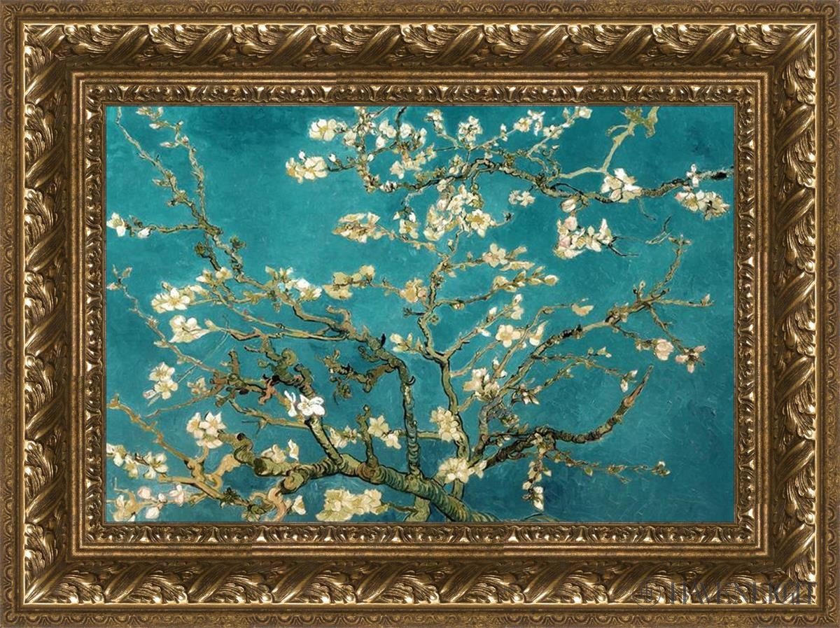 Blossoming Almond Open Edition Print / 18 X 12 Gold 23 3/4 17 Art
