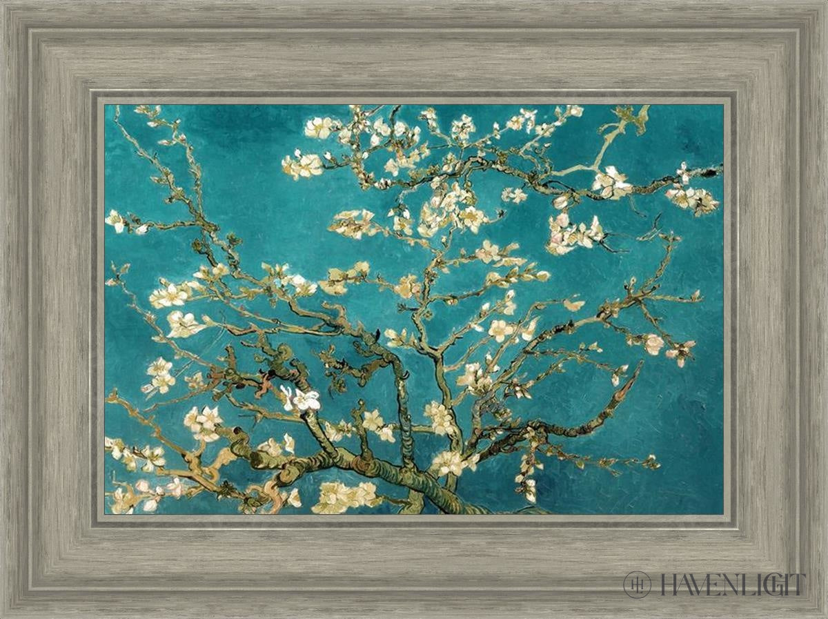 Blossoming Almond Open Edition Print / 18 X 12 Gray 23 3/4 17 Art