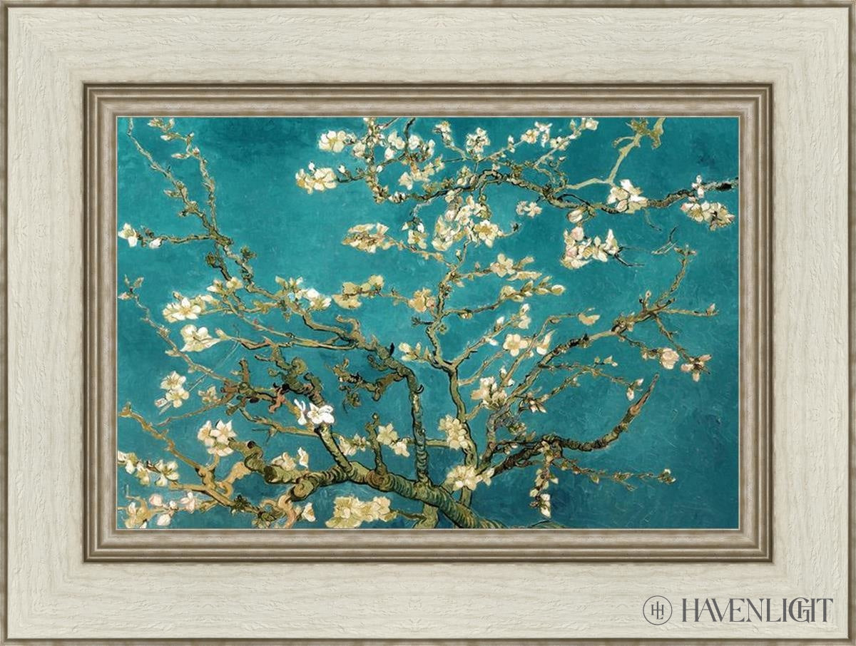 Blossoming Almond Open Edition Print / 18 X 12 Ivory 24 1/2 Art