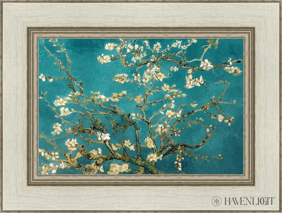 Blossoming Almond Open Edition Print / 18 X 12 Ivory 24 1/2 Art