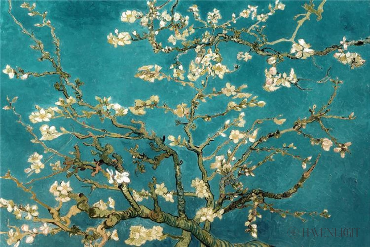 Blossoming Almond Open Edition Print / 18 X 12 Only Art
