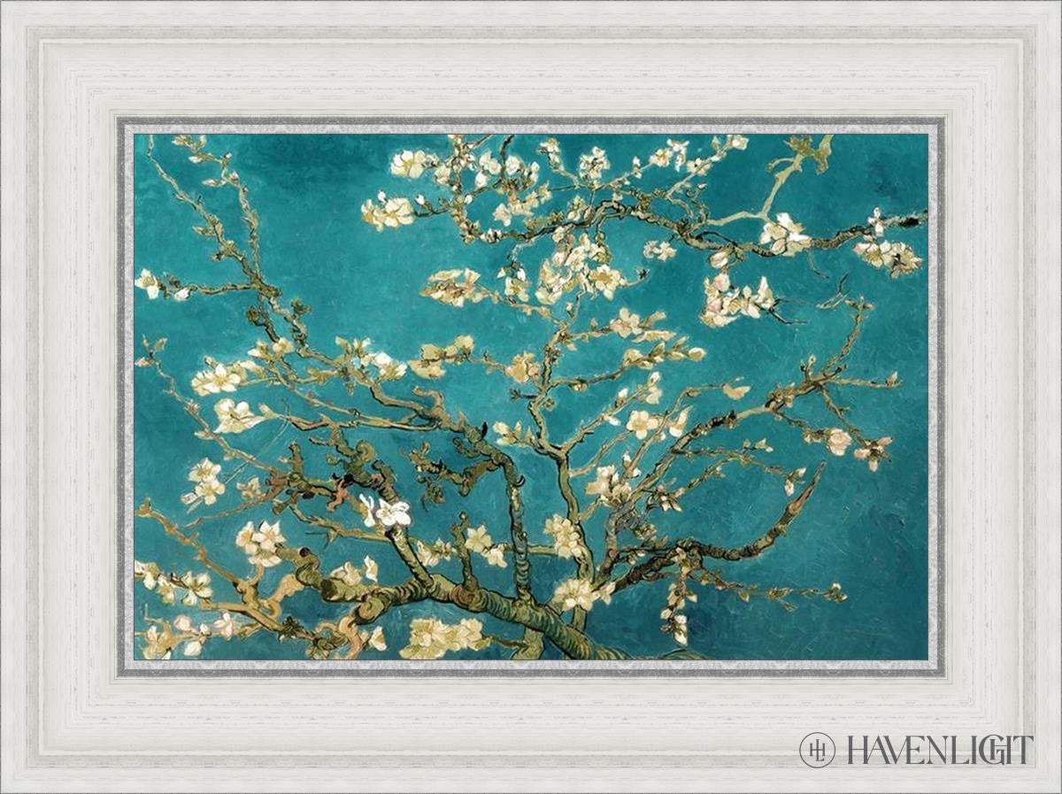 Blossoming Almond Open Edition Print / 18 X 12 White 23 3/4 17 Art