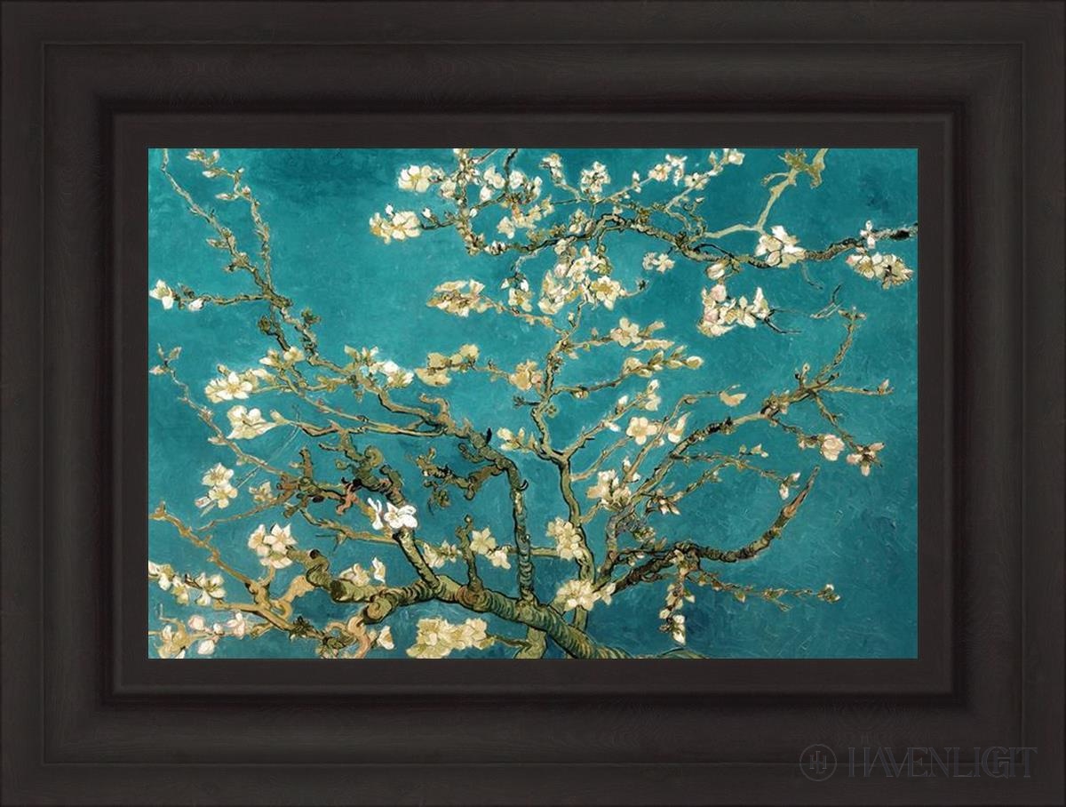 Blossoming Almond Open Edition Print / 21 X 14 Brown 28 3/4 Art