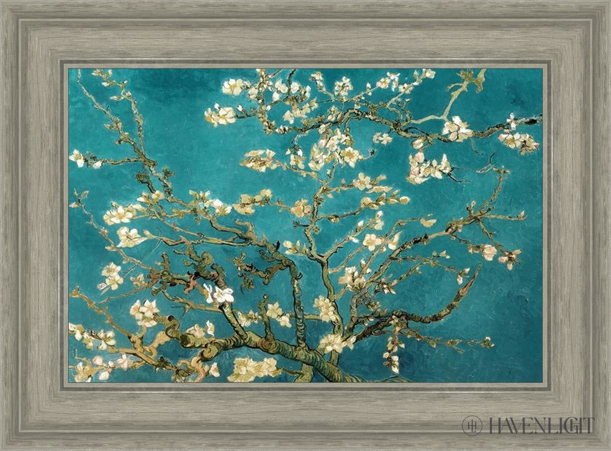 Blossoming Almond Open Edition Print / 21 X 14 Gray 26 3/4 19 Art