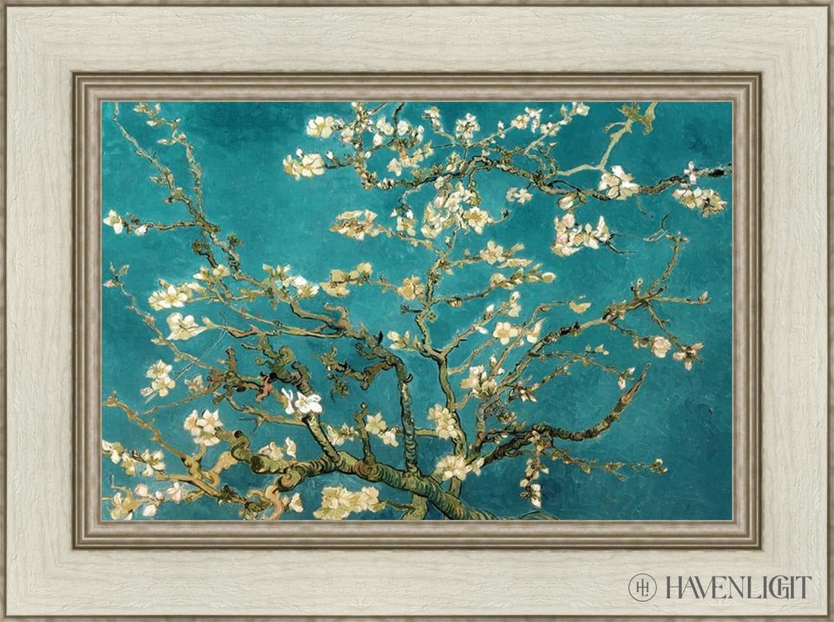 Blossoming Almond Open Edition Print / 21 X 14 Ivory 27 1/2 20 Art