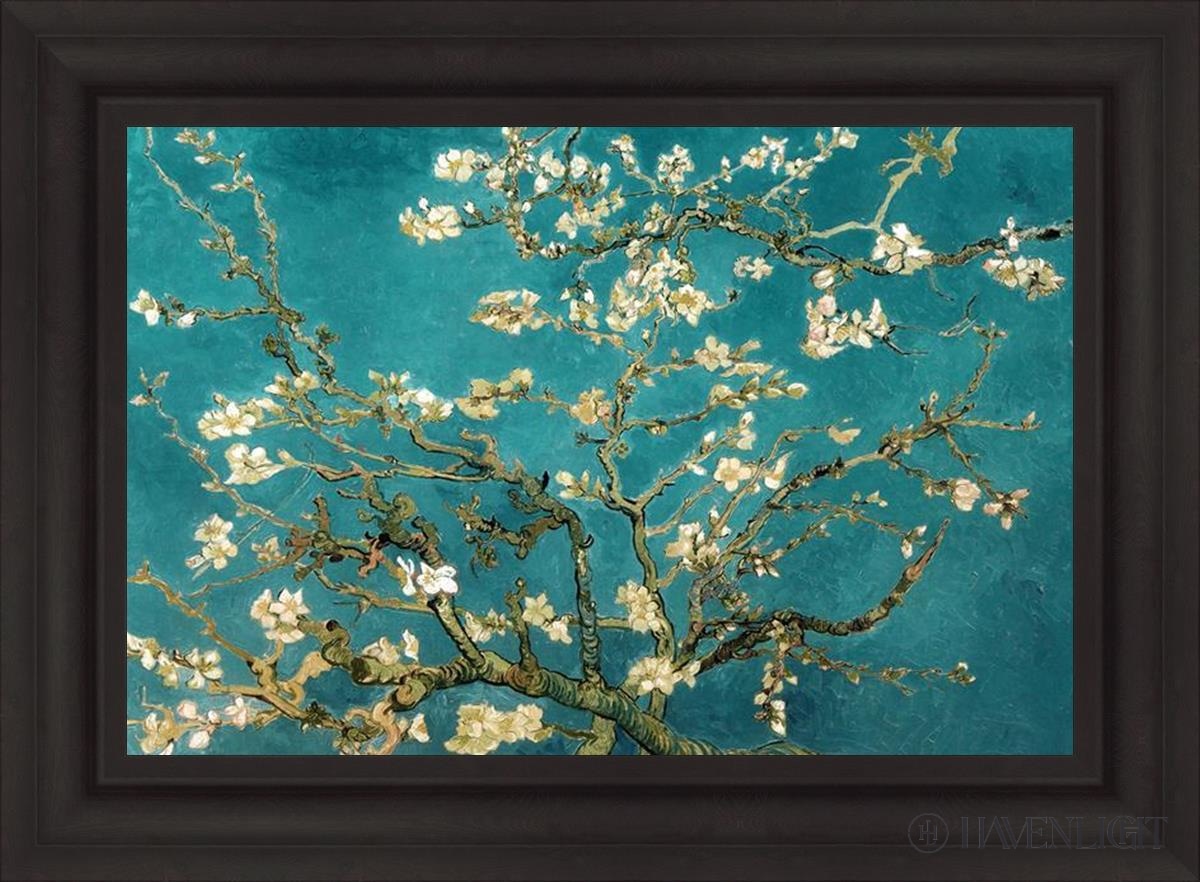 Blossoming Almond Open Edition Print / 30 X 20 Brown 37 3/4 27 Art