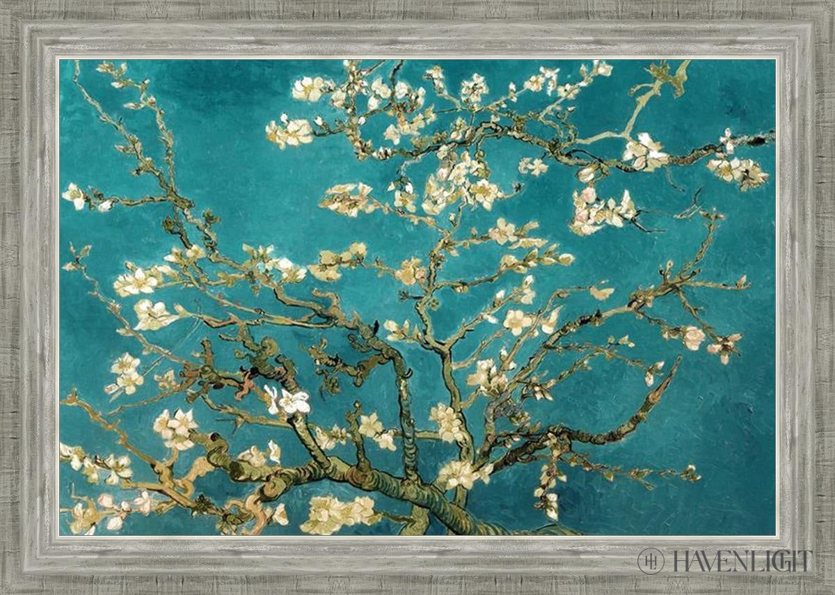 Blossoming Almond Open Edition Print / 30 X 20 Silver 34 3/4 24 Art