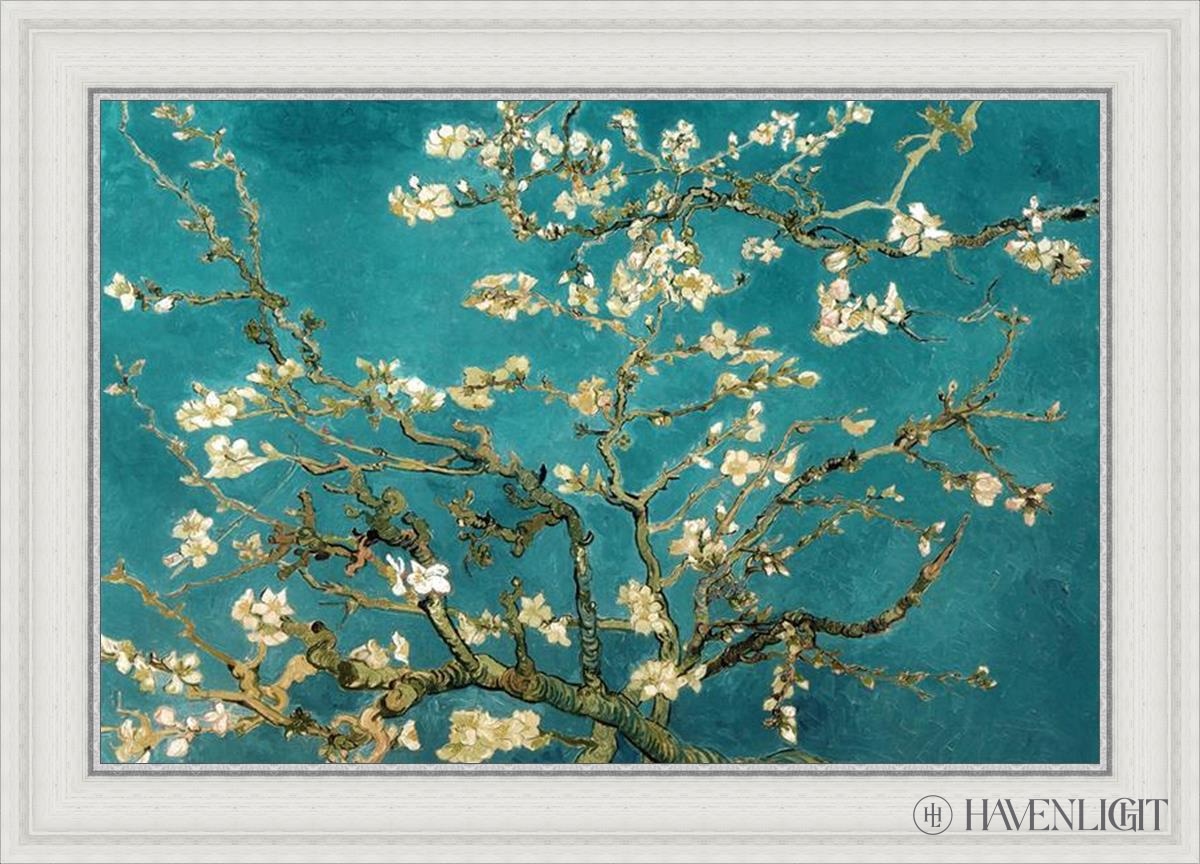Blossoming Almond Open Edition Print / 30 X 20 White 35 3/4 25 Art