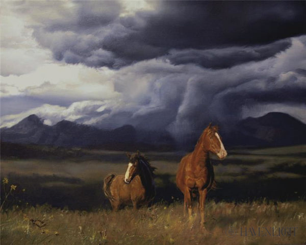 Eye of the Storm Wave of Horses Art Print
