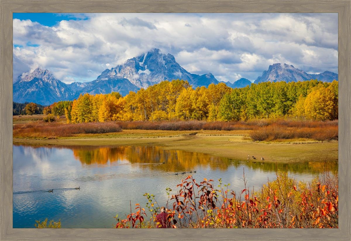 Changing Seasons Large Wall Art Open Edition Canvas / 56 1/2 X 37 Light Brown Wood Grain 60 3/4 41