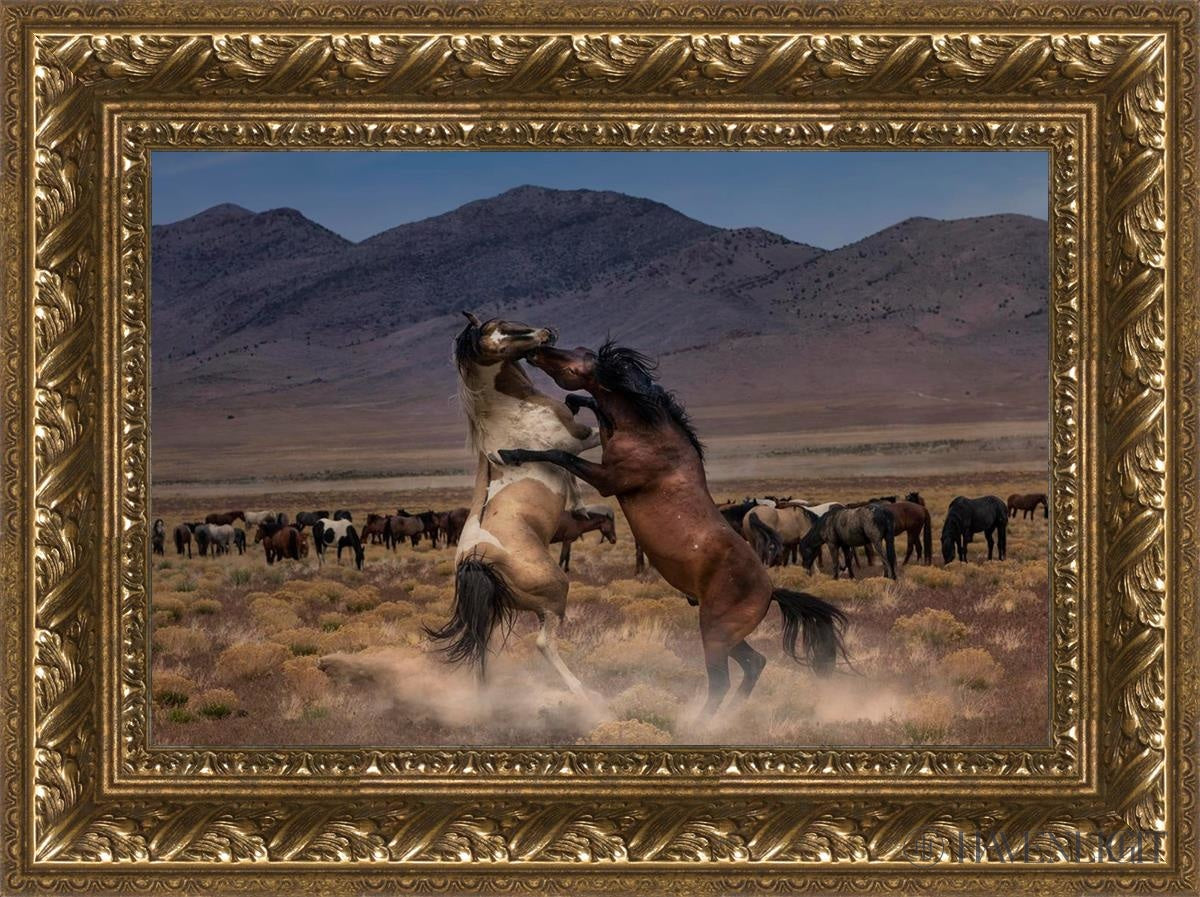 Desert Duel Open Edition Canvas / 18 X 12 Gold 23 3/4 17 Art