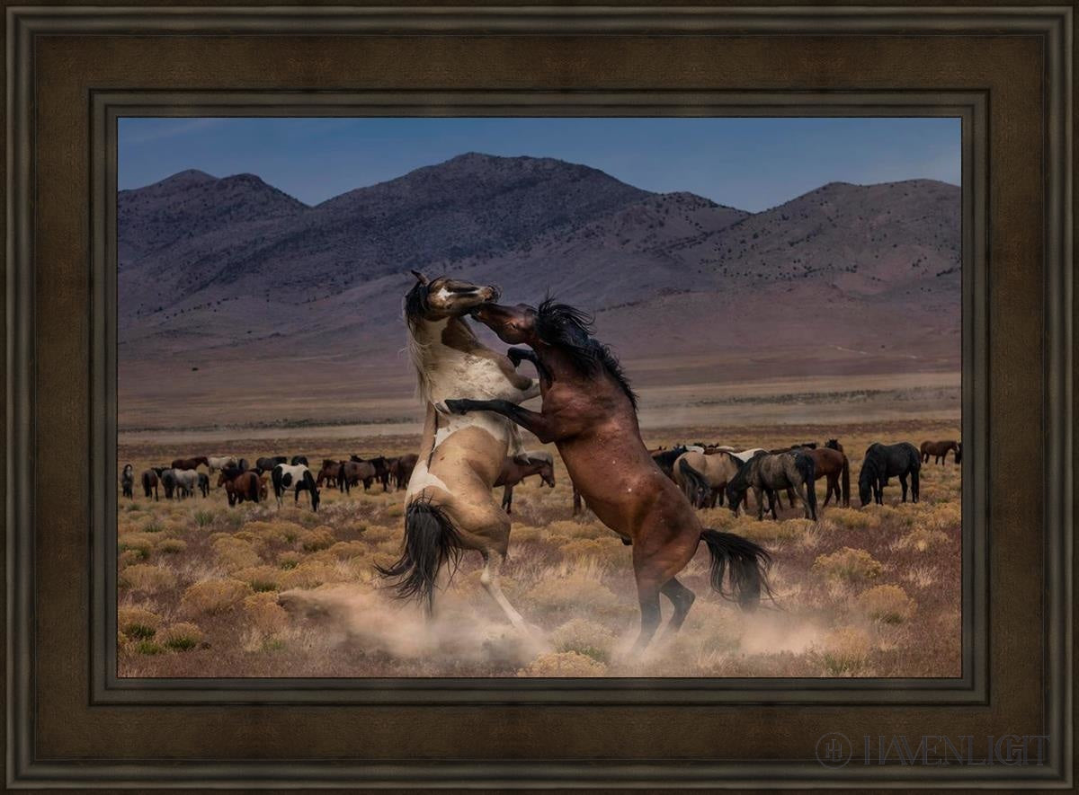 Desert Duel Open Edition Canvas / 36 X 24 Brown 45 3/4 33 Art