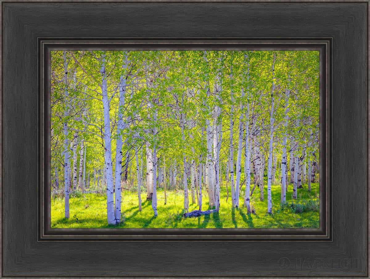 Early Morning Light In The Wasatch Backcountry Open Edition Canvas / 18 X 12 Black 24 1/2 Art