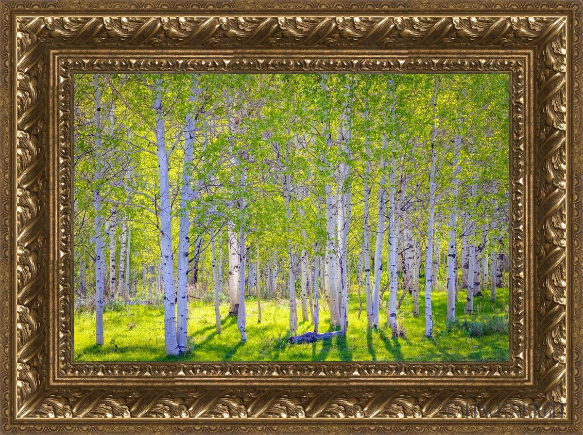 Early Morning Light In The Wasatch Backcountry Open Edition Canvas / 18 X 12 Gold 23 3/4 17 Art