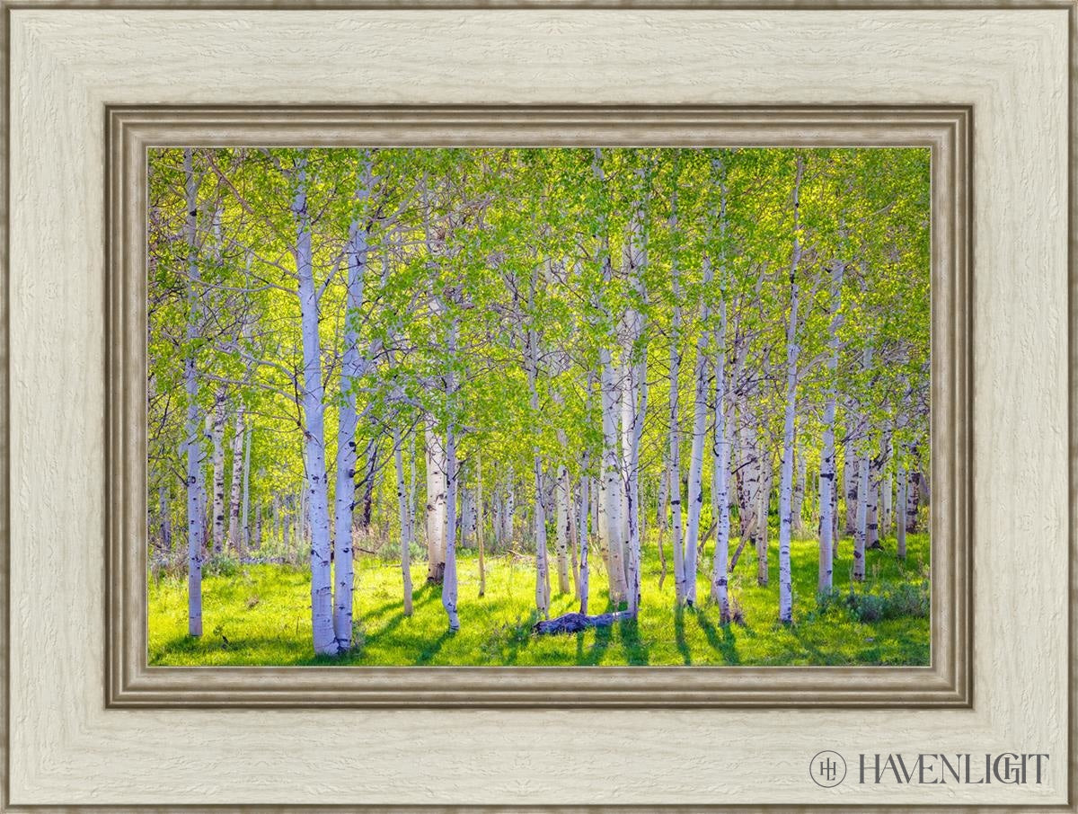 Early Morning Light In The Wasatch Backcountry Open Edition Canvas / 18 X 12 Ivory 24 1/2 Art